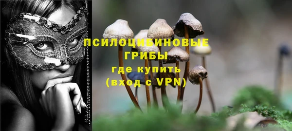 COCAINE Гусев