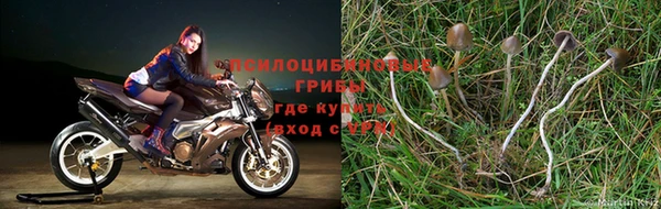 мяу мяу мука Гусь-Хрустальный