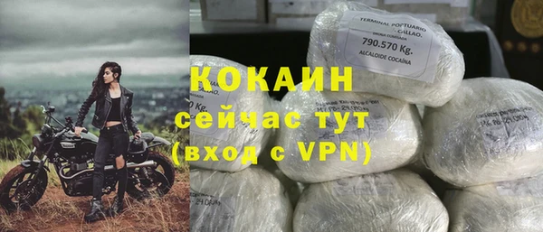 мяу мяу мука Гусь-Хрустальный