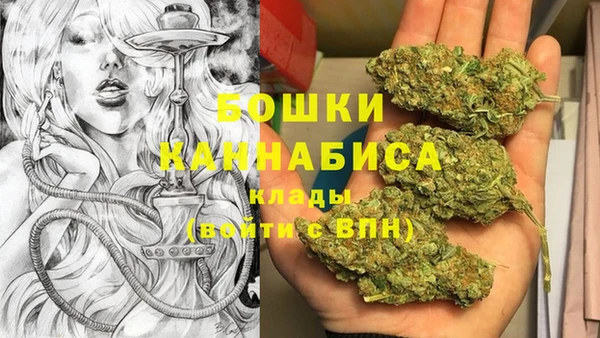 мяу мяу мука Гусь-Хрустальный